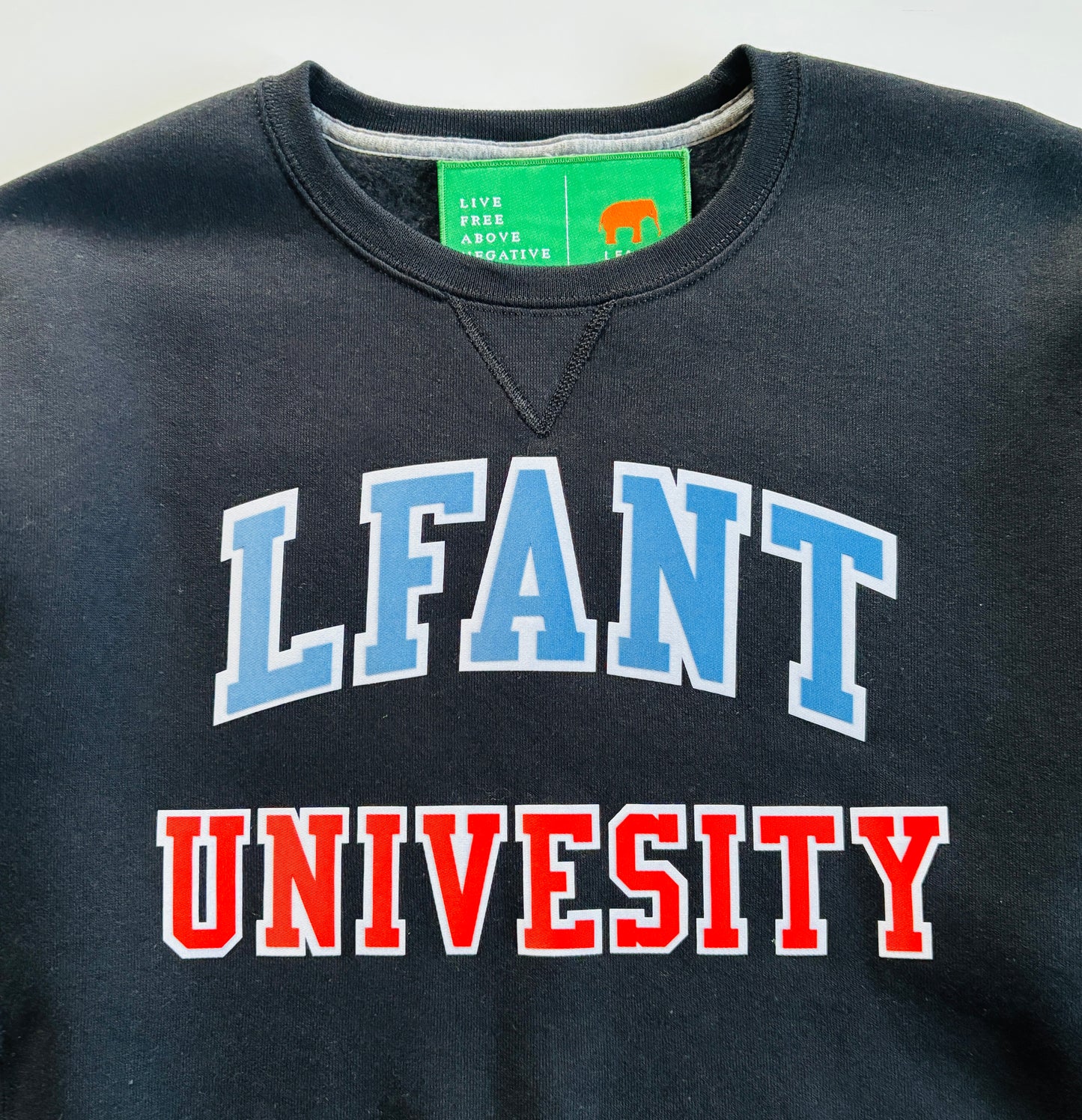 LFANT UNIVERSITY
