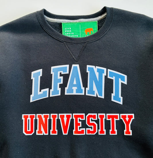 LFANT UNIVERSITY