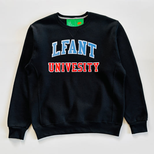 LFANT UNIVERSITY